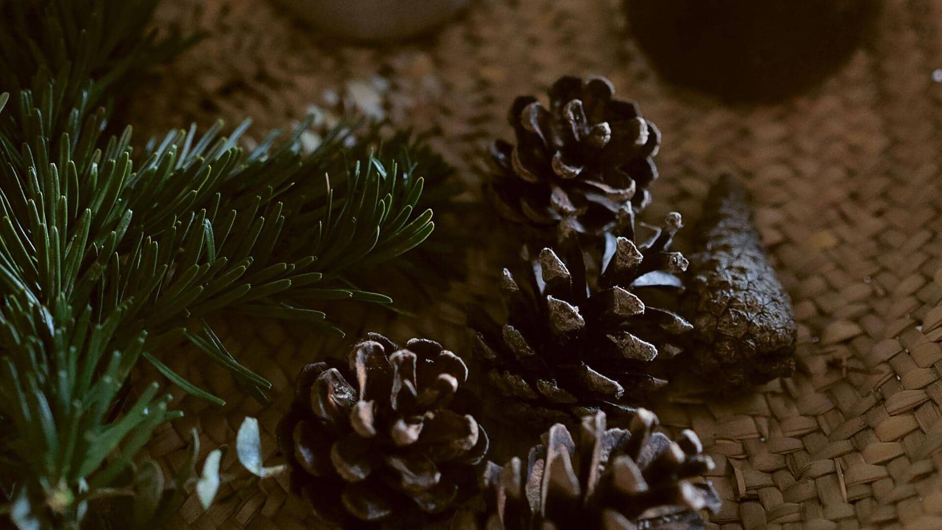 Scented pinecones can change the home decor game 