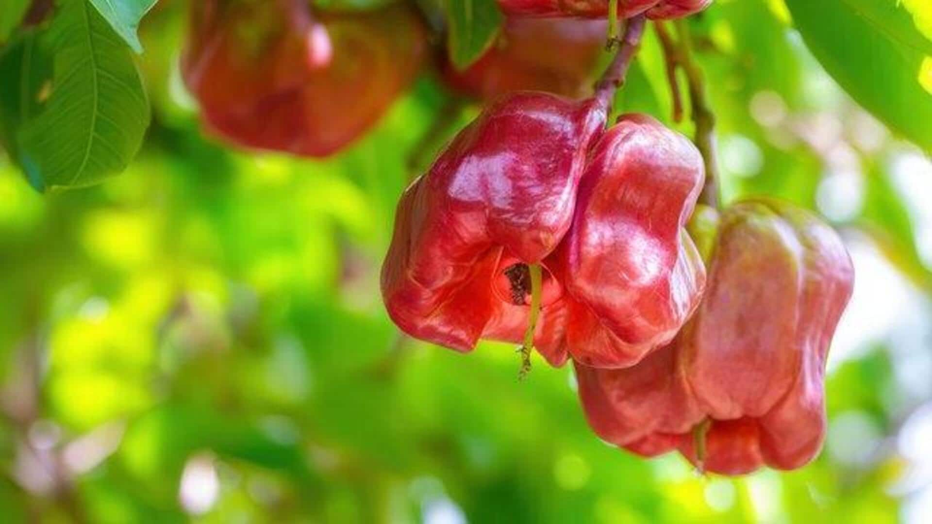 Rose apple: The superfood you didn't know about
