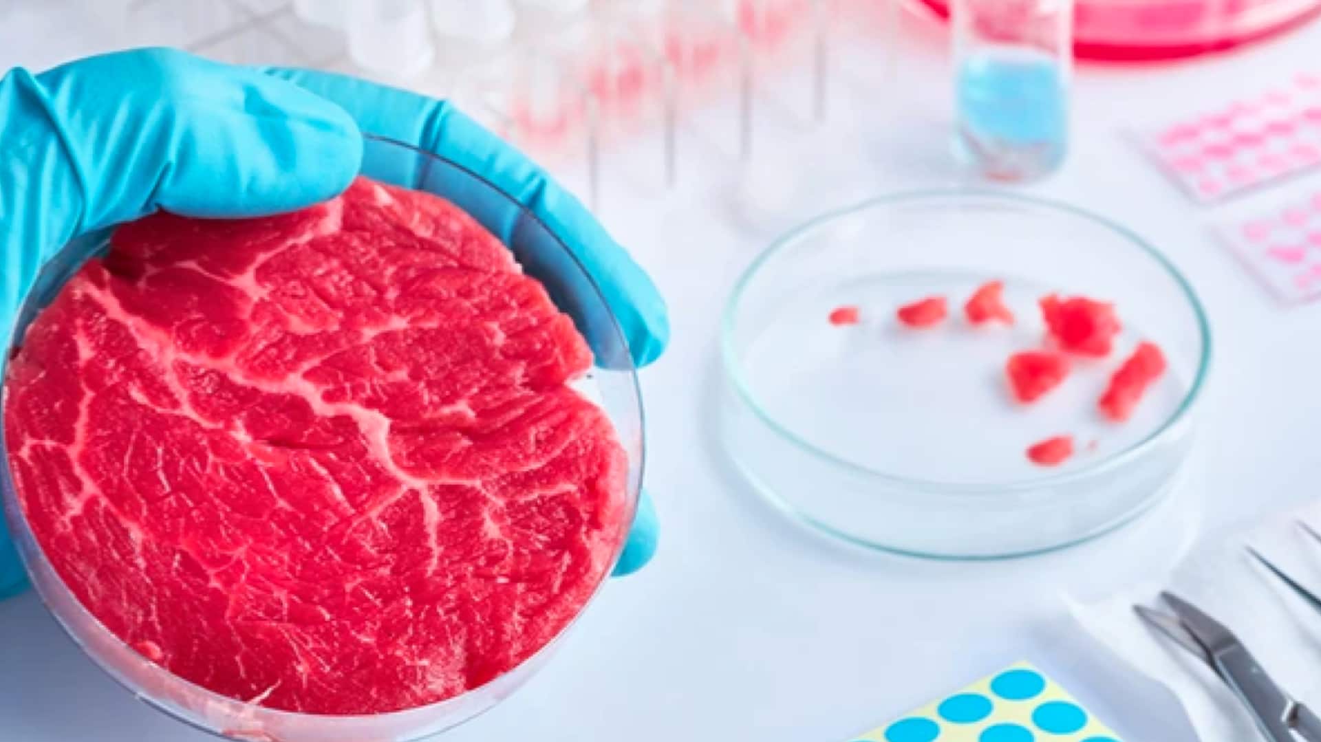 Researchers grow meat from 'immortal' stem cells: How it's advantageous