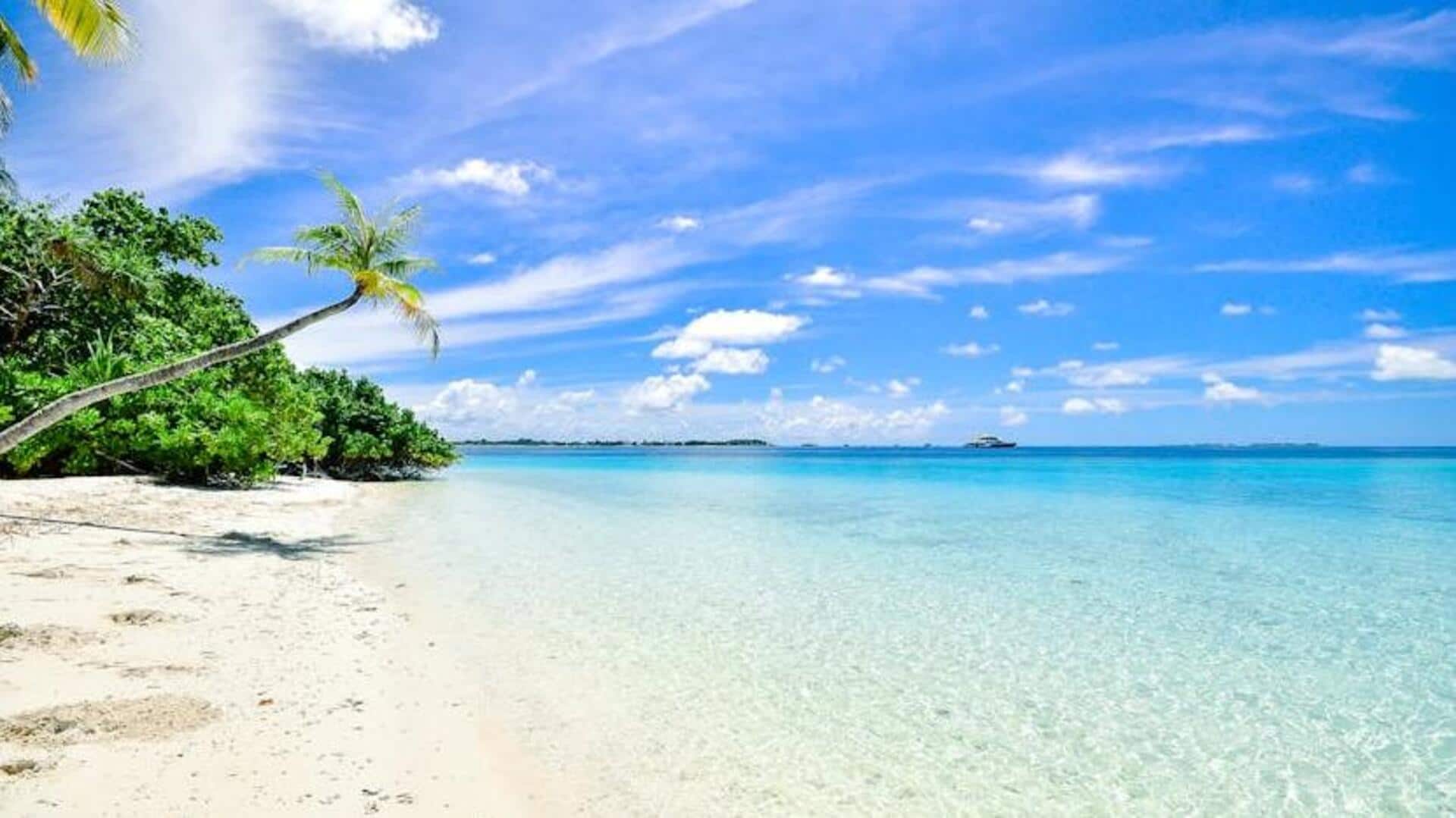 Explore New Zealand's hidden beaches Explore New Zealand's hidden beaches