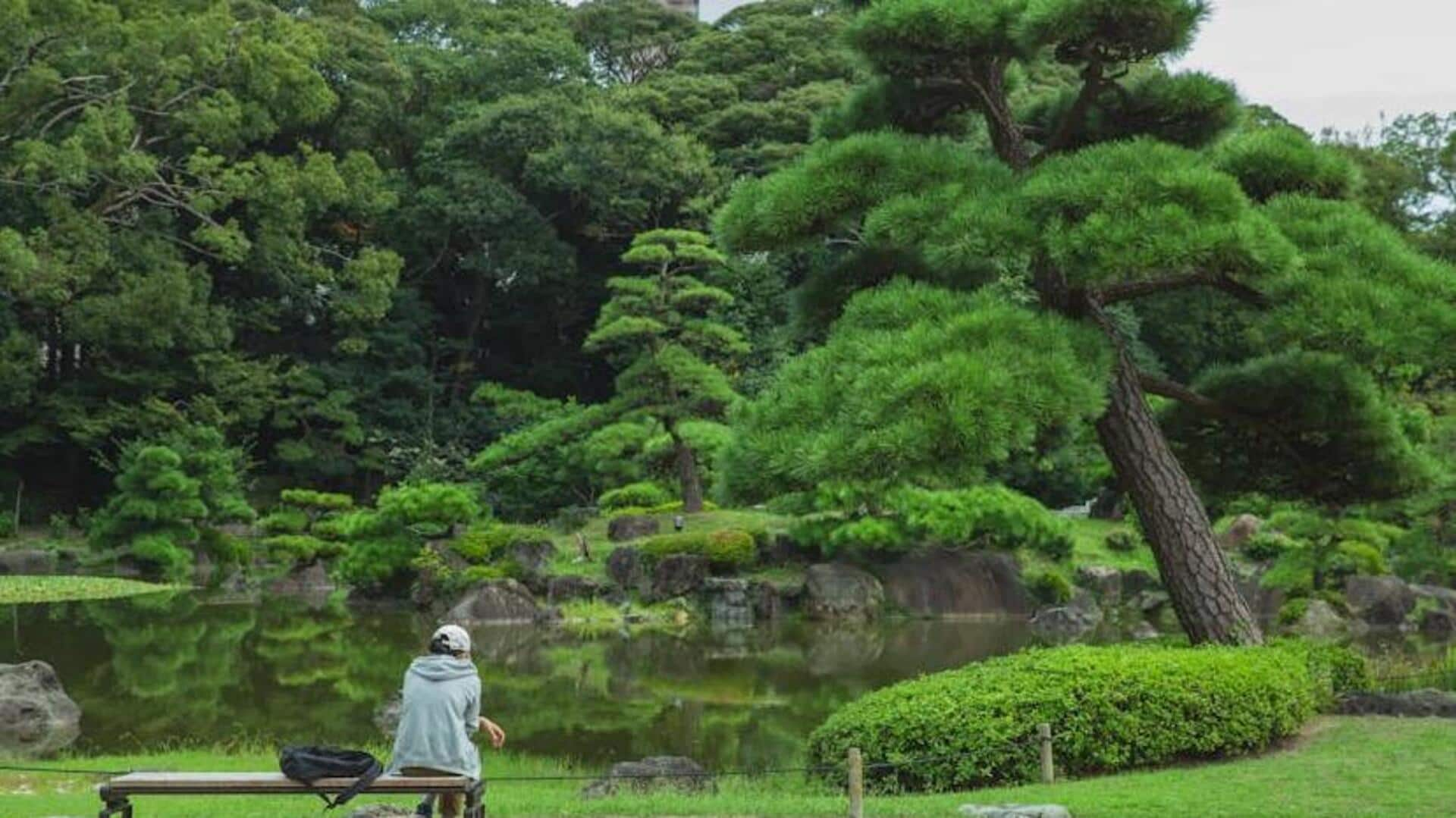 Crafting serenity with monochrome Zen gardens