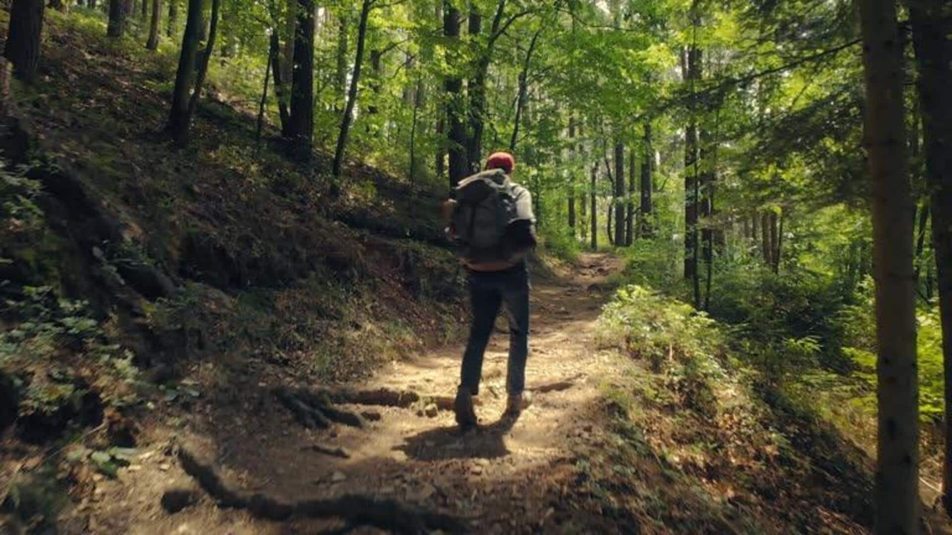 Bushwalking 101: Tips, tricks, and must-knows Bushwalking 101: Tips, tricks, and must-knows