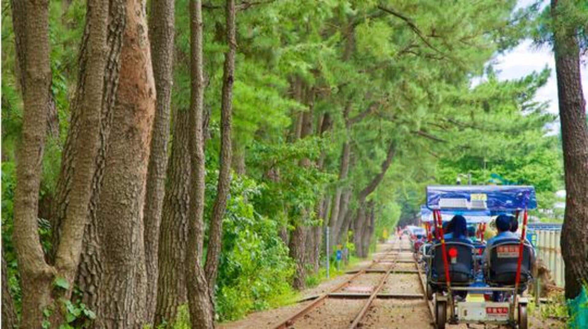 Looking for a unique adventure? Try rail biking