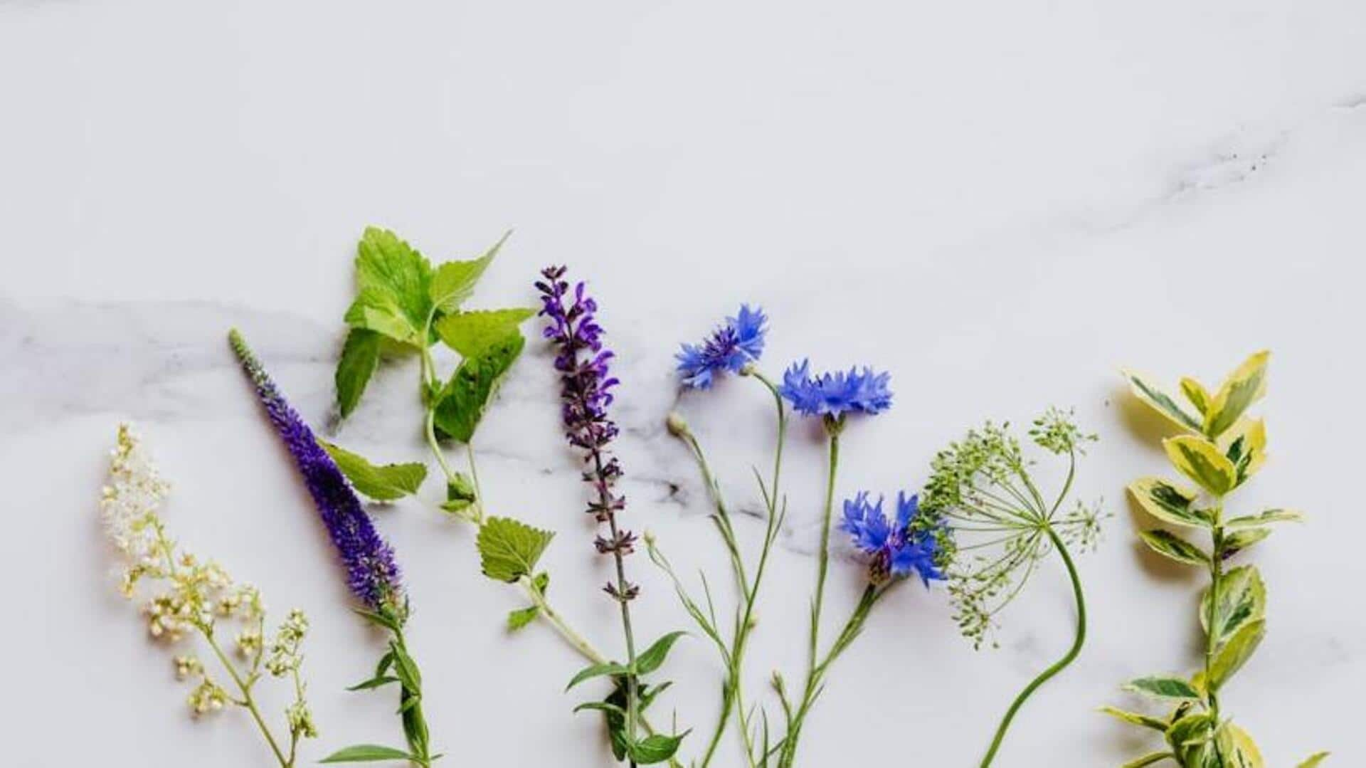 Essential tips for cultivating edible flowers at home