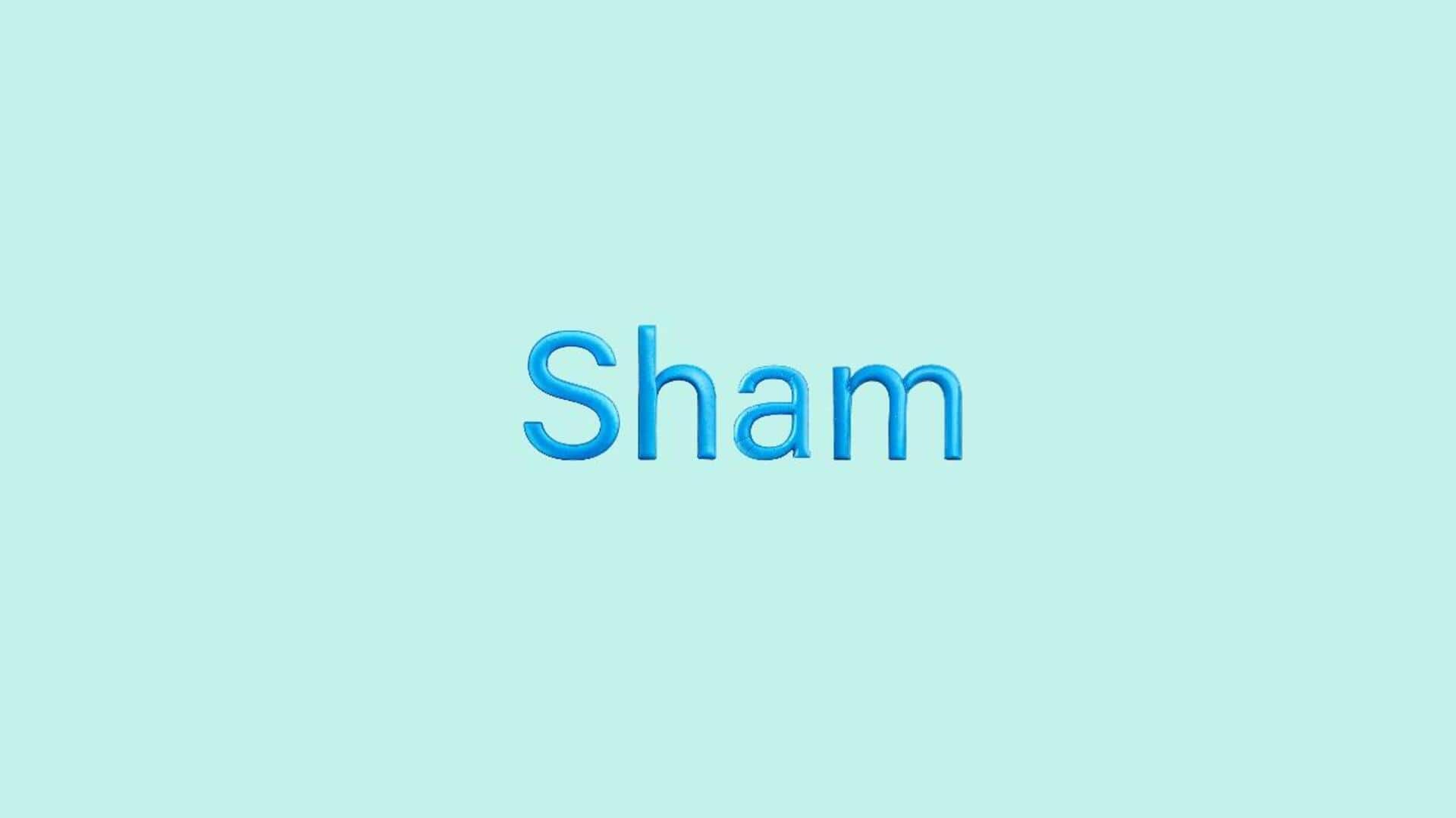Word of the Day: Sham