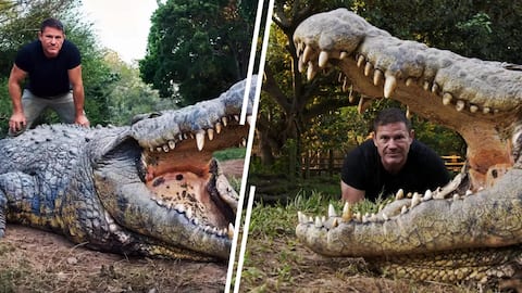 Meet Henry, the 123-year-old crocodile with a large family