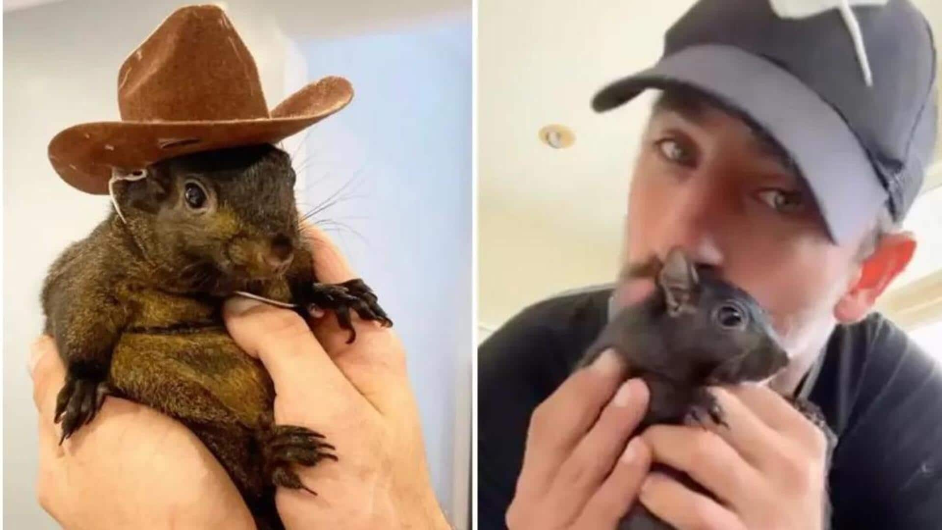 Outrage on social media as Instagram-famous squirrel 'Peanut' seized, euthanized 