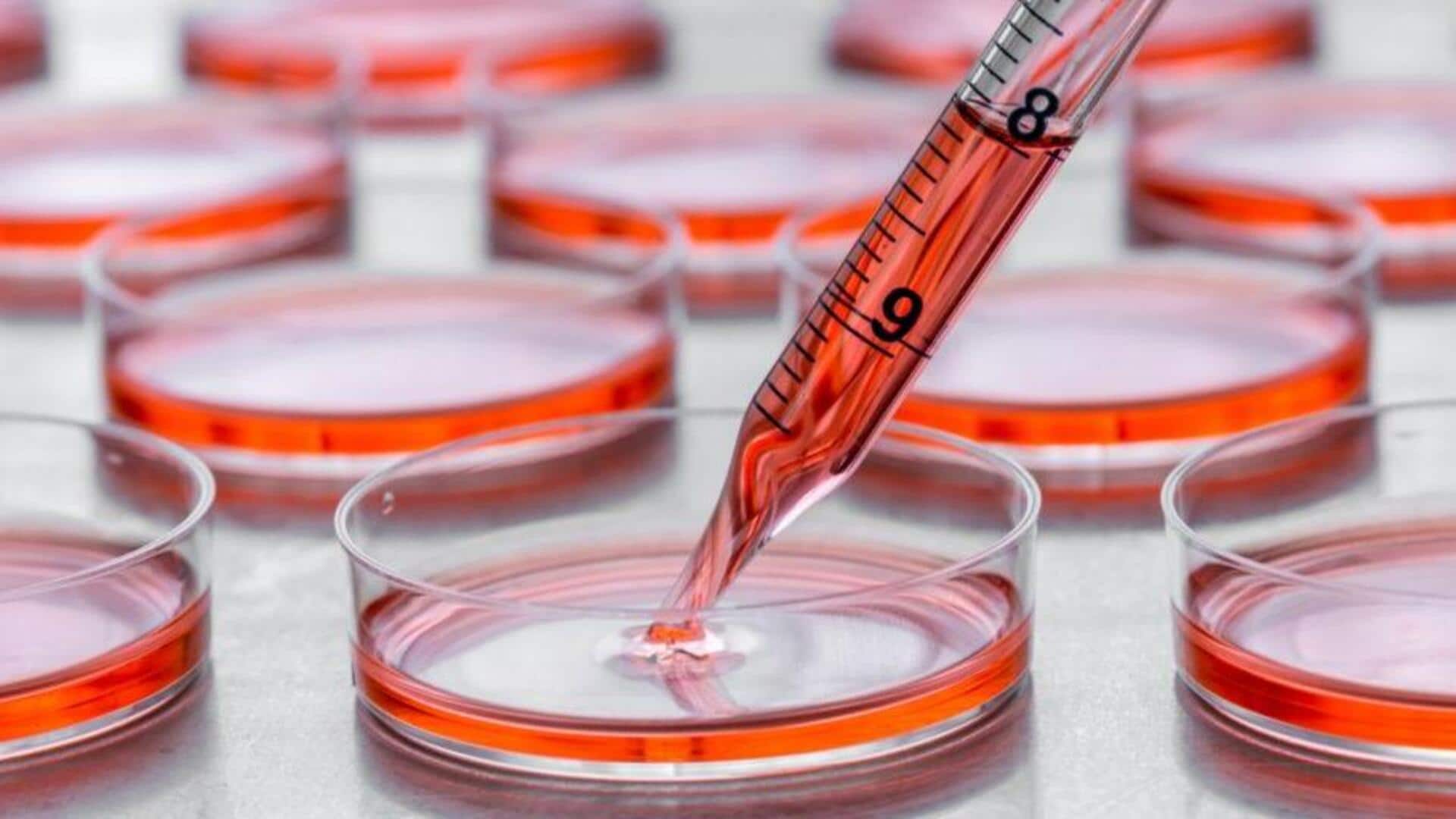 We might finally have a cure for Parkinson's disease