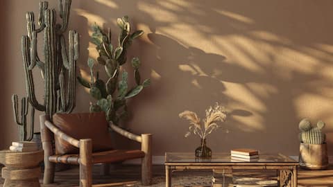Mid-century + desert decor: How to go about this