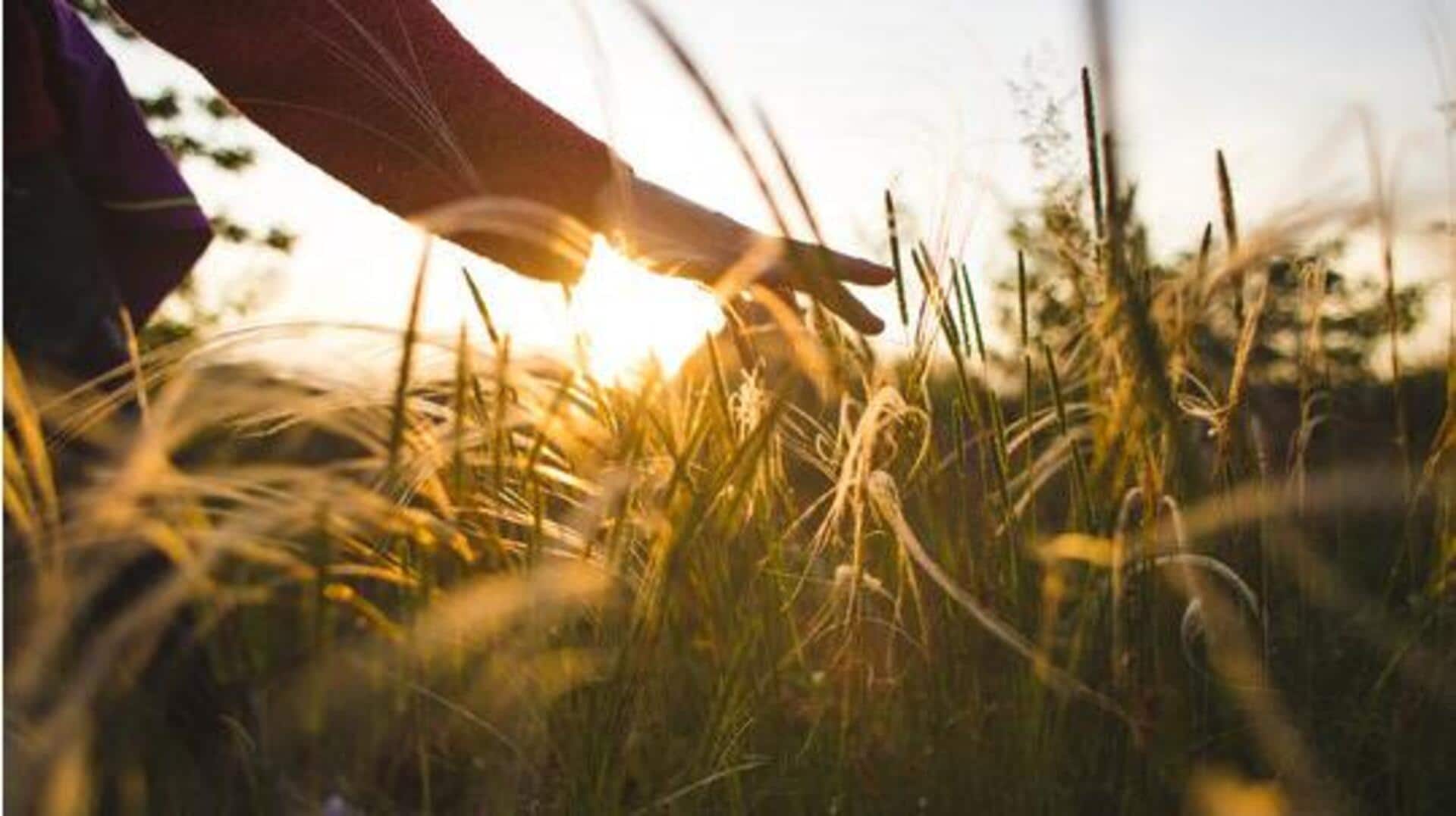 Simple 5-minute outdoor habits to cultivate Simple 5-minute outdoor habits to cultivate