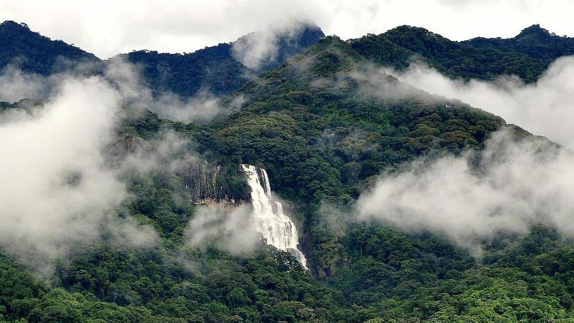 Udzungwa Mountains in Tanzania: A must-visit for nature lovers