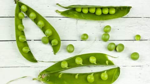 Exploring the incredible benefits of consuming pea milk