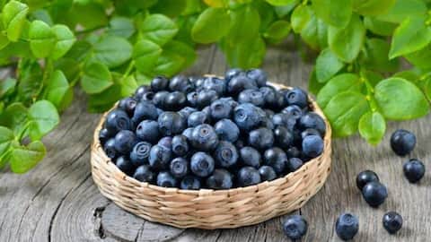 Bilberries: A superfood for eye health 