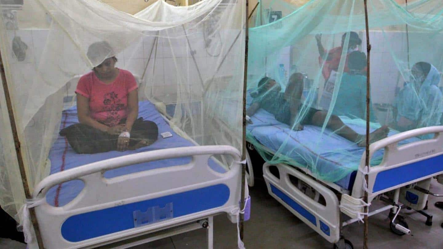 Dengue infection takes toll on immunity Dengue infection takes toll on immunity