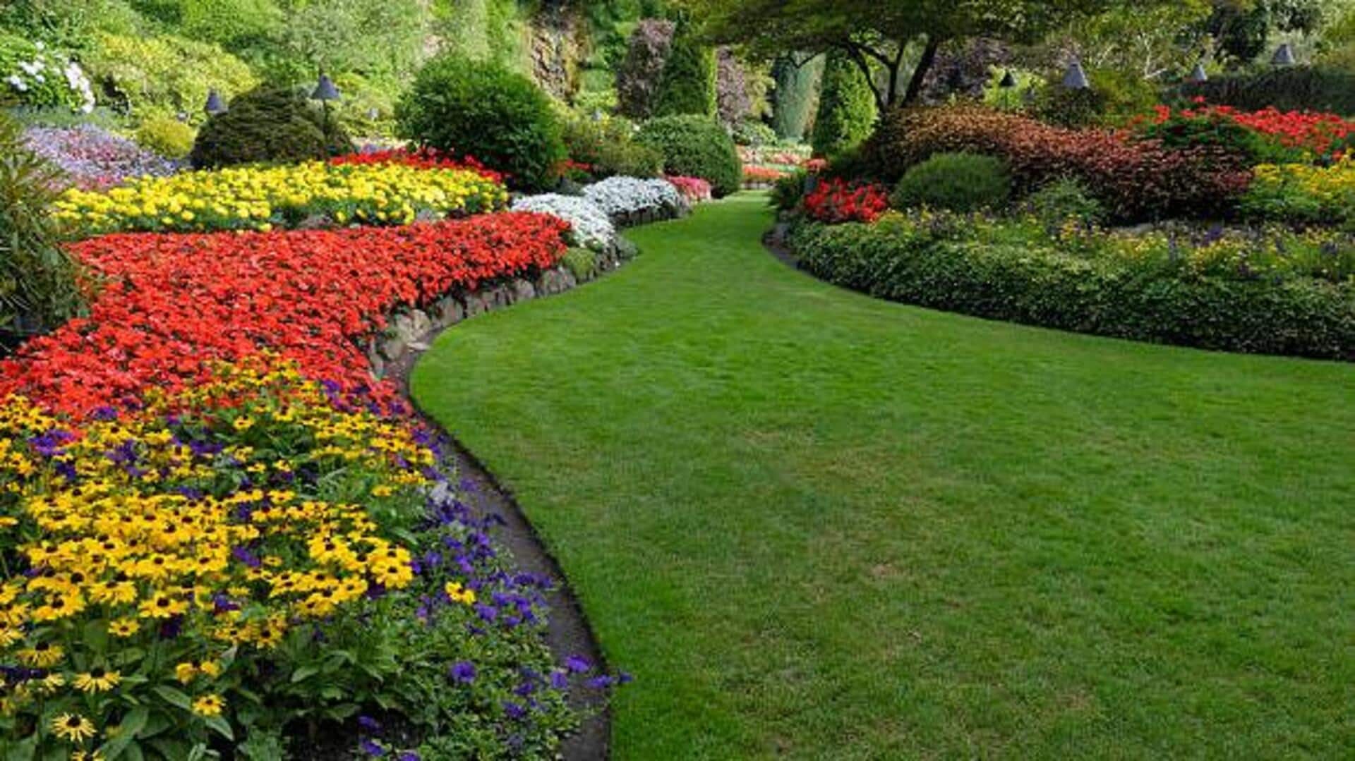 How to create a beautiful garden on a budget How to create a beautiful garden on a budget