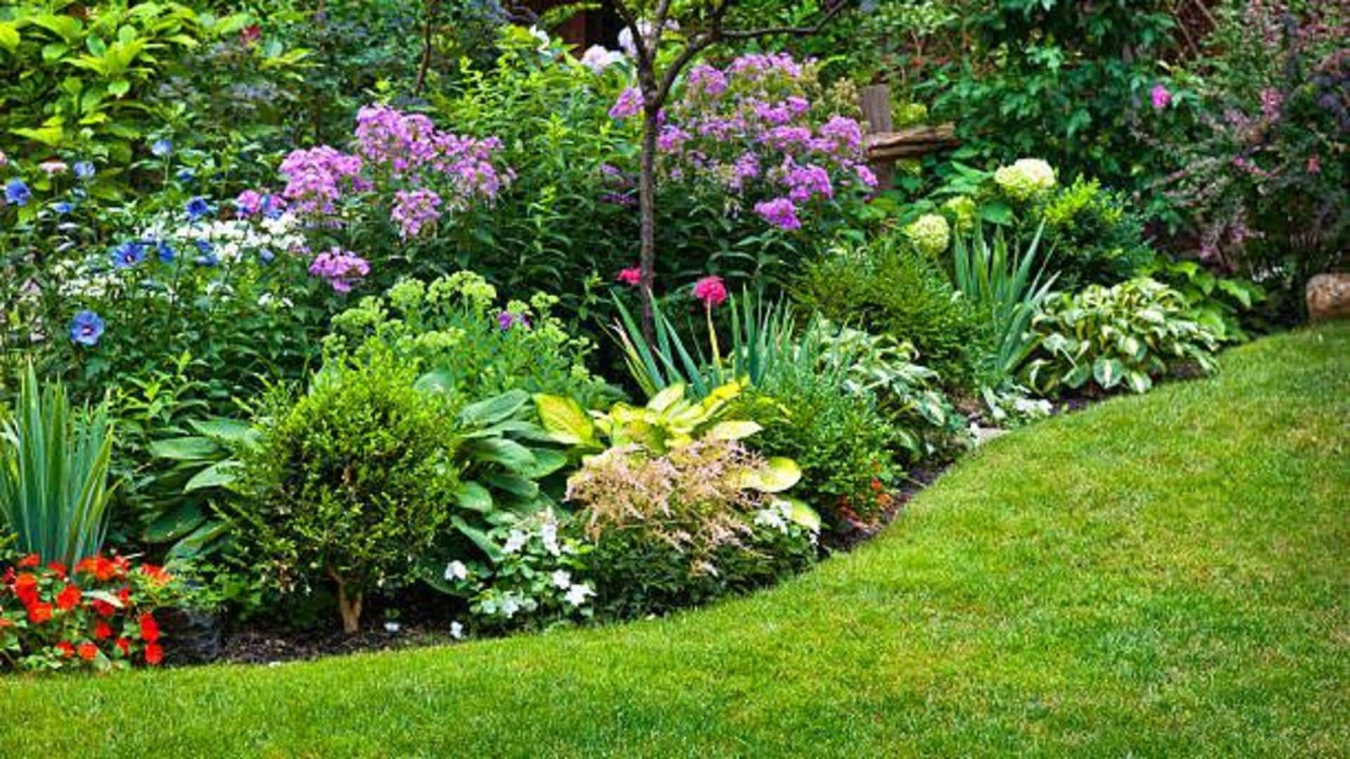 How to design a beautiful garden using local plants
