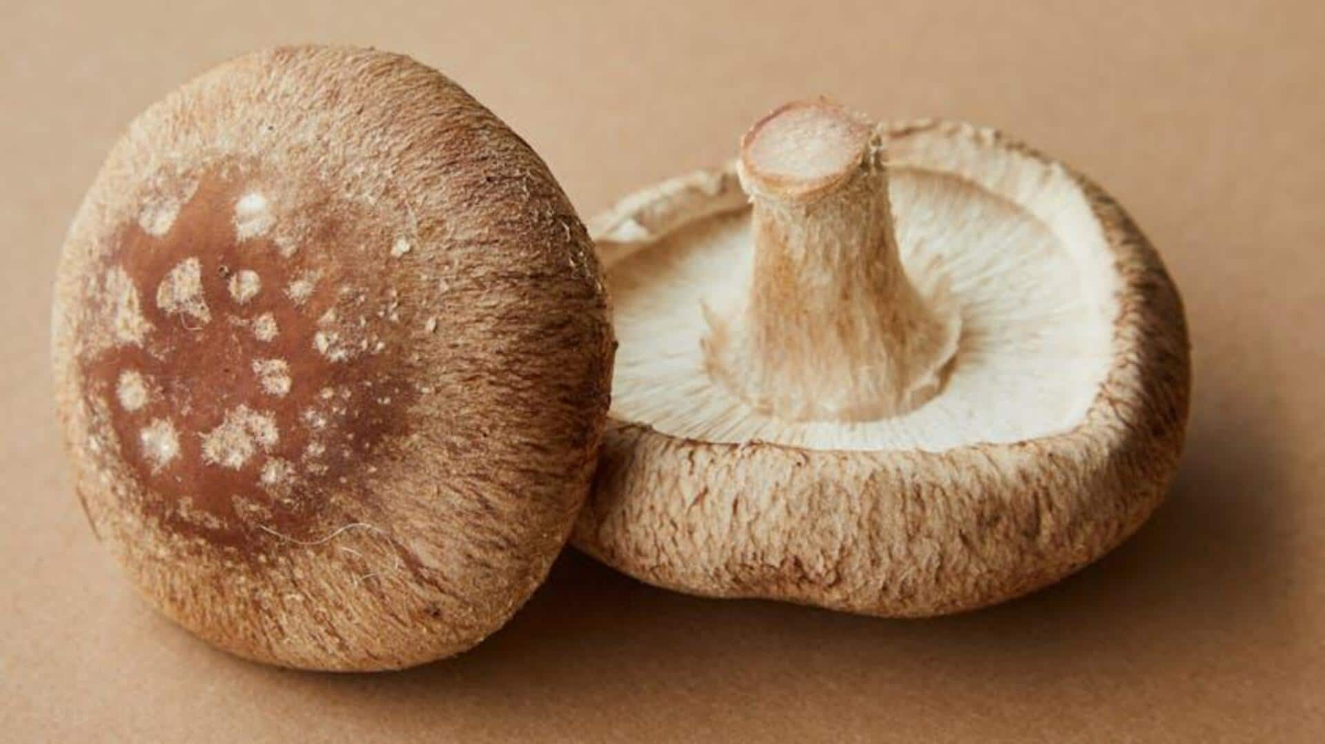 Shiitake mushroom immune boosting broths