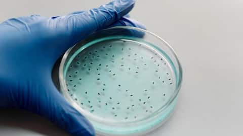 Study predicts superbugs could cause 39 million deaths by 2050