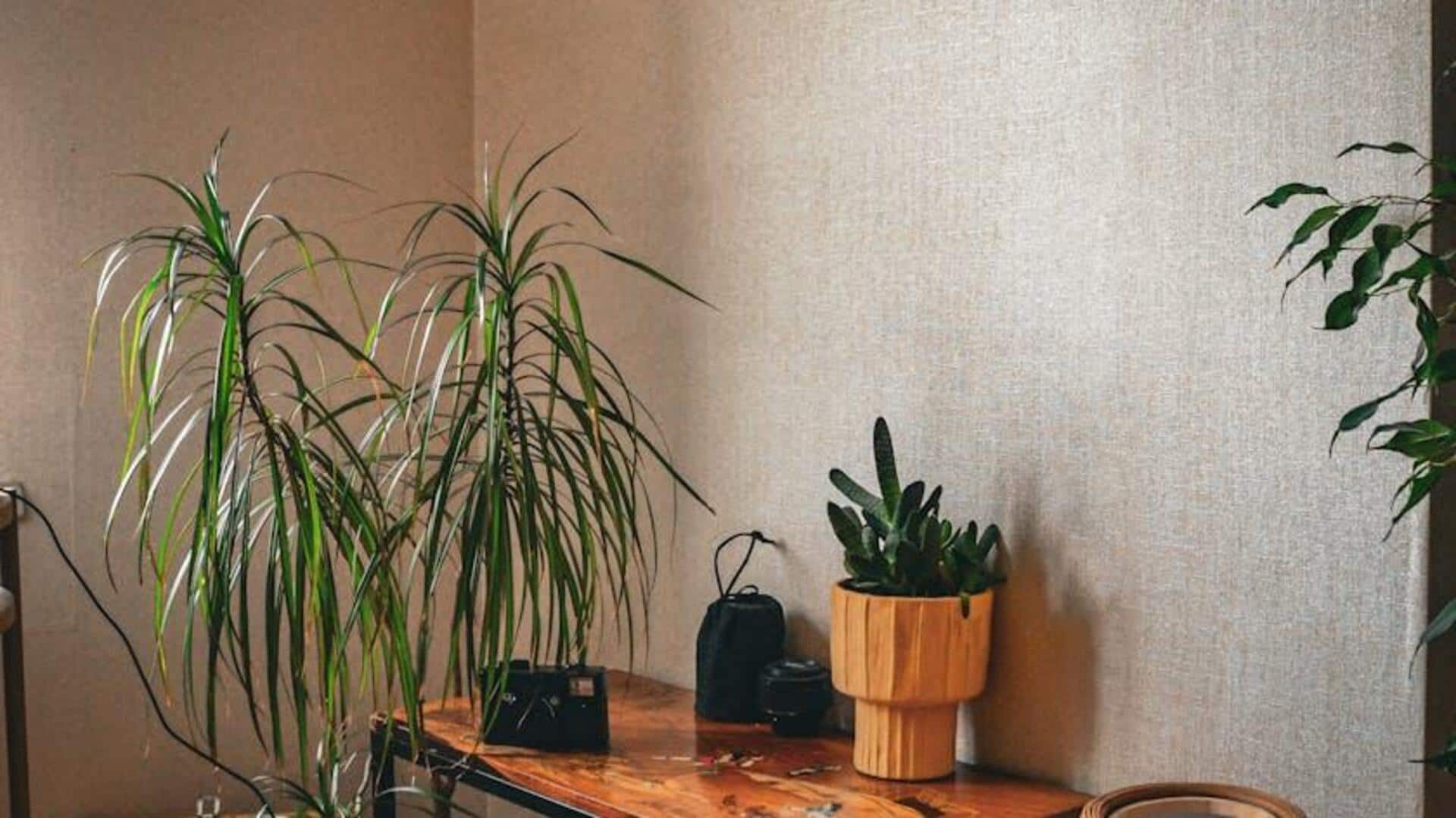 Home decor 101: Vintage pieces you'll love Home decor 101: Vintage pieces you'll love