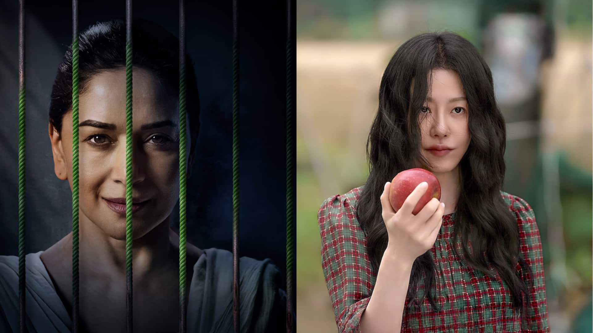 Madhuri Dixit's 'Mrs Deshpande' has a South Korean version?