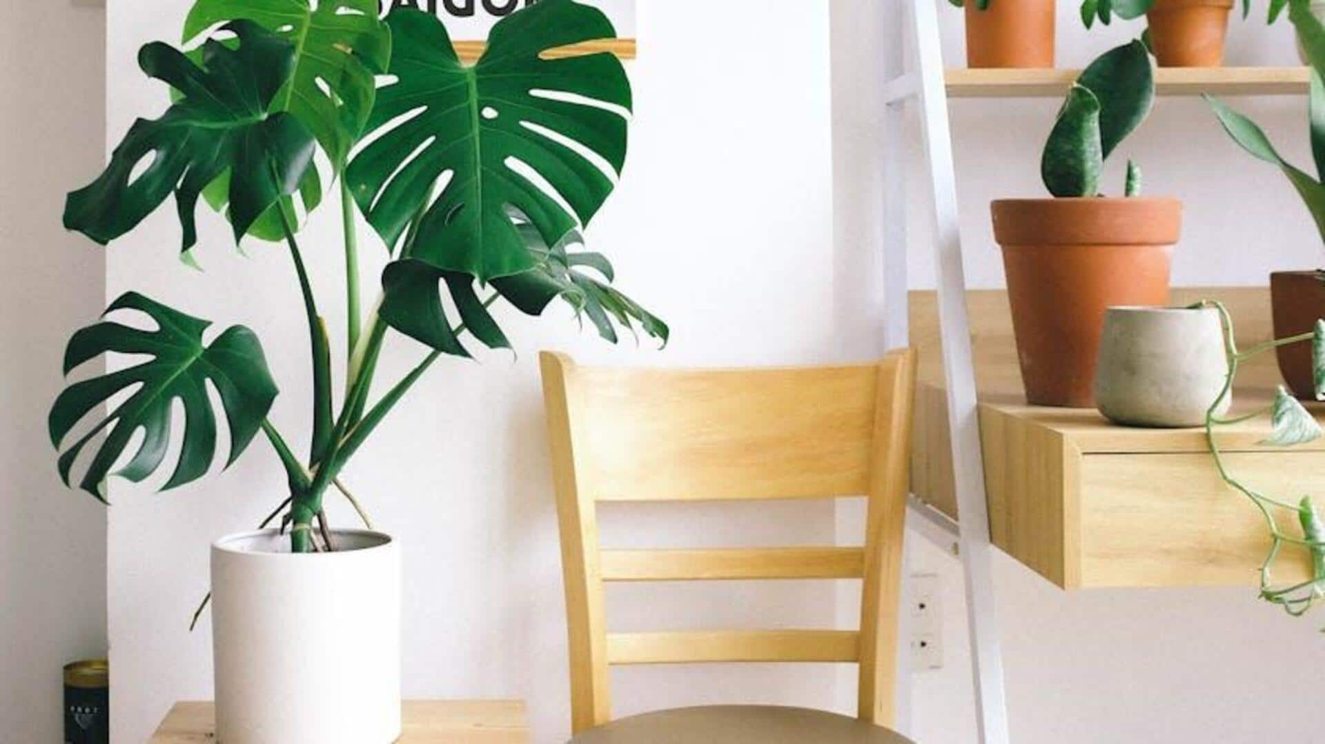 Eco-friendly home decor ideas you need to try Eco-friendly home decor ideas you need to try