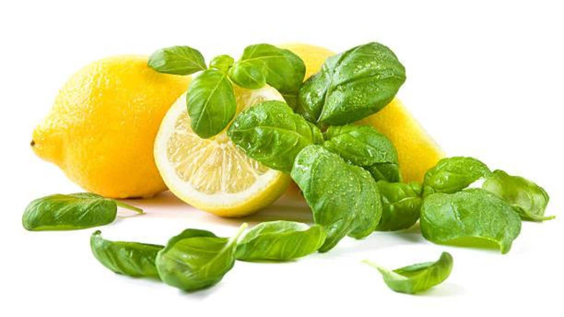 Vegan flavor upgrade: Try these lemon basil ideas! 