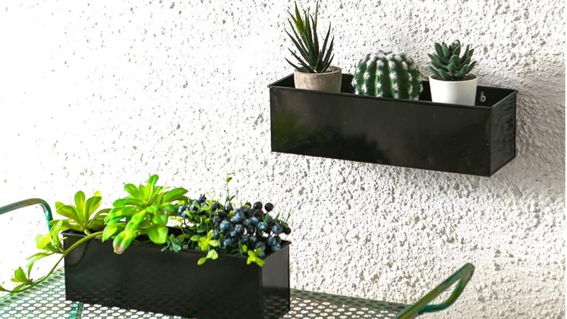 Want to transform your space? Use vertical succulent wall planters