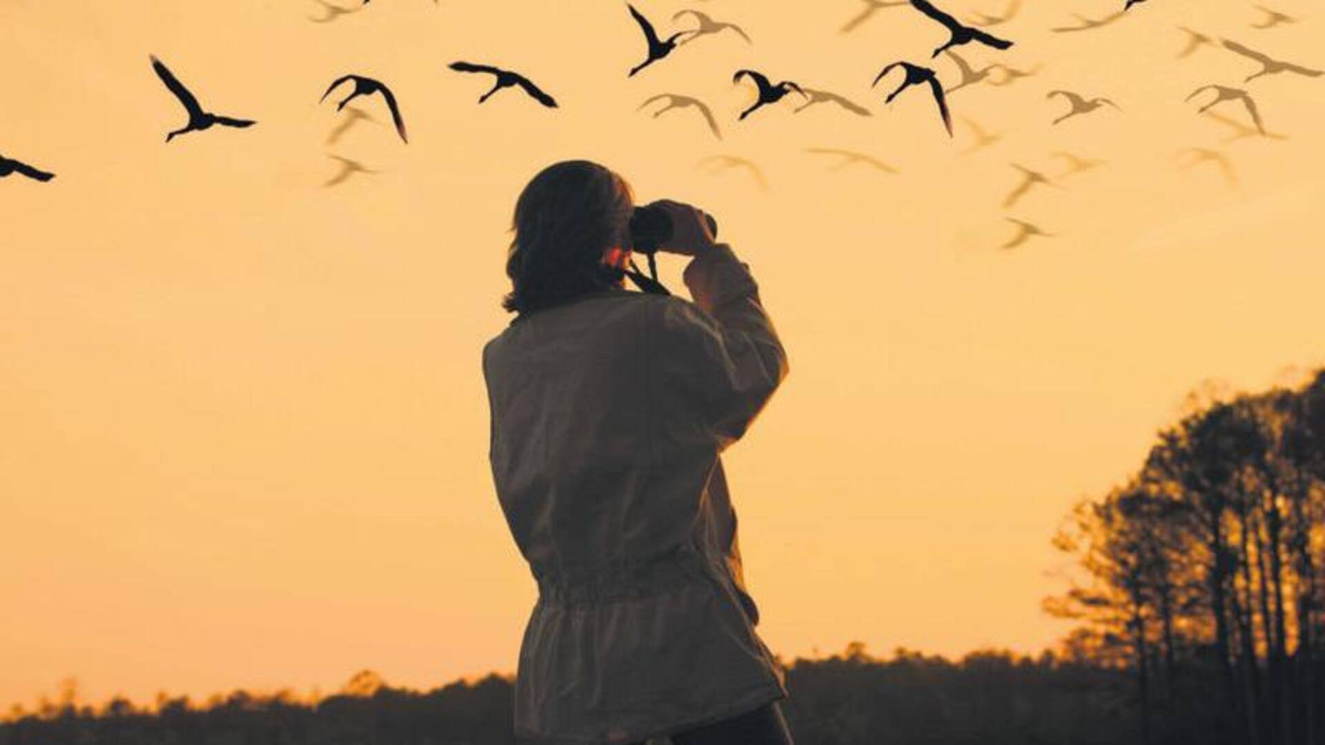 Birdwatching makes you more mindful: Here's how