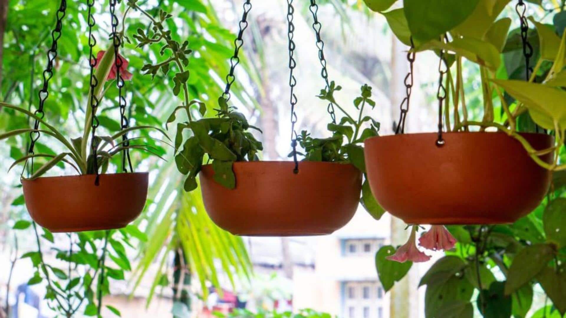 How to transform your space with hanging planters