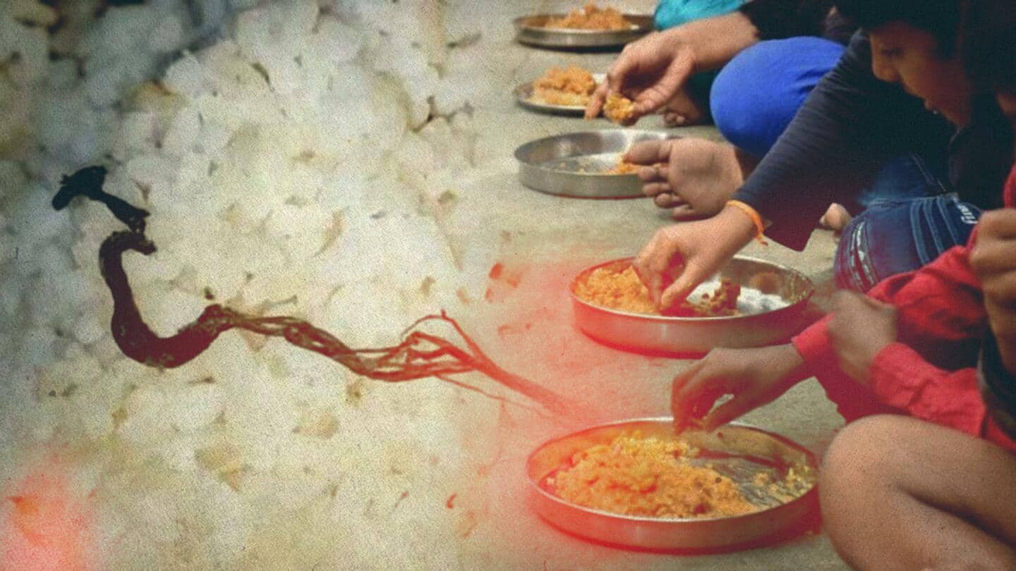Bengal: Snake found in mid-day meal, 30 kids fall ill