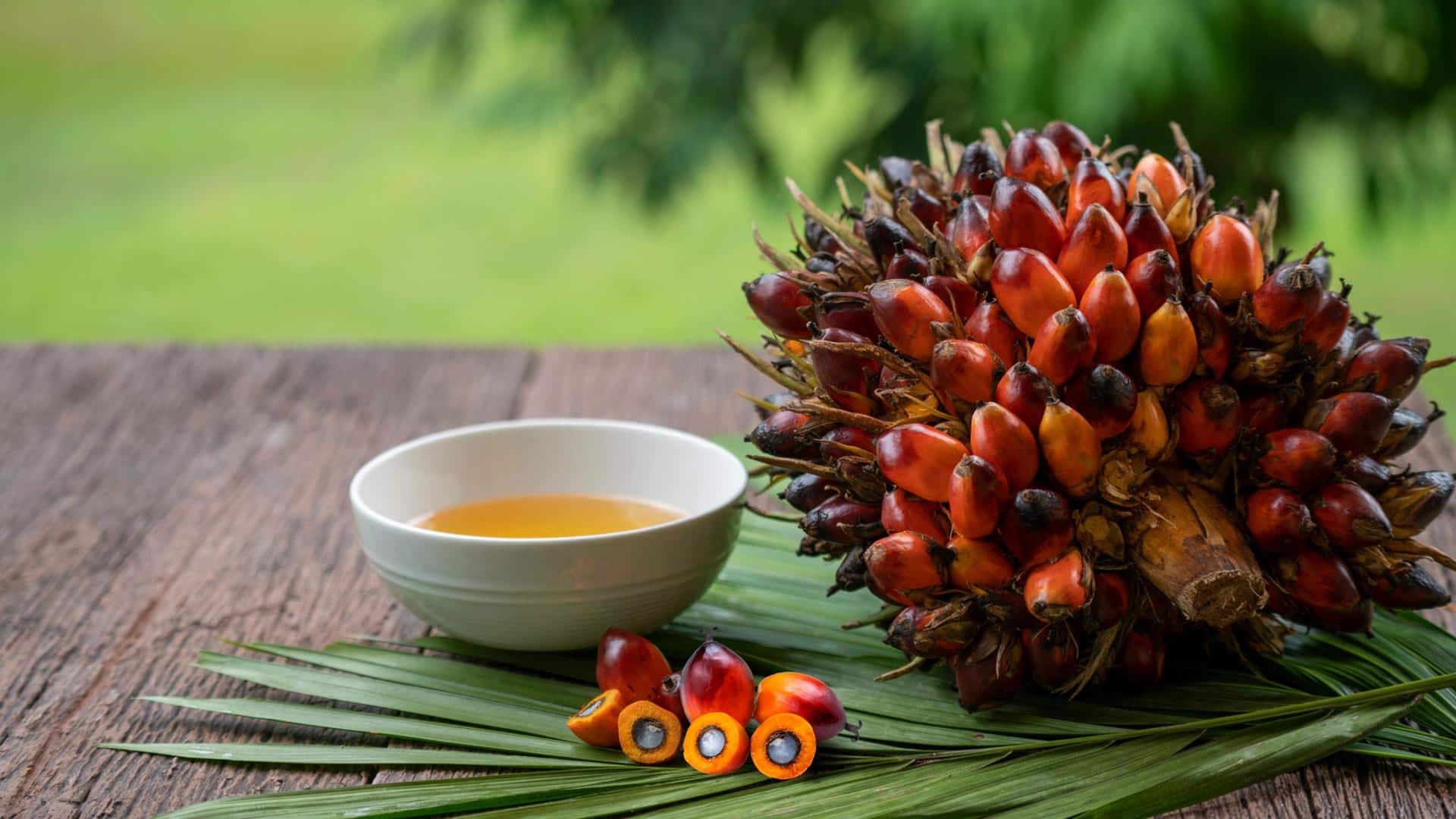Did you know these powerful health benefits of palm oil
