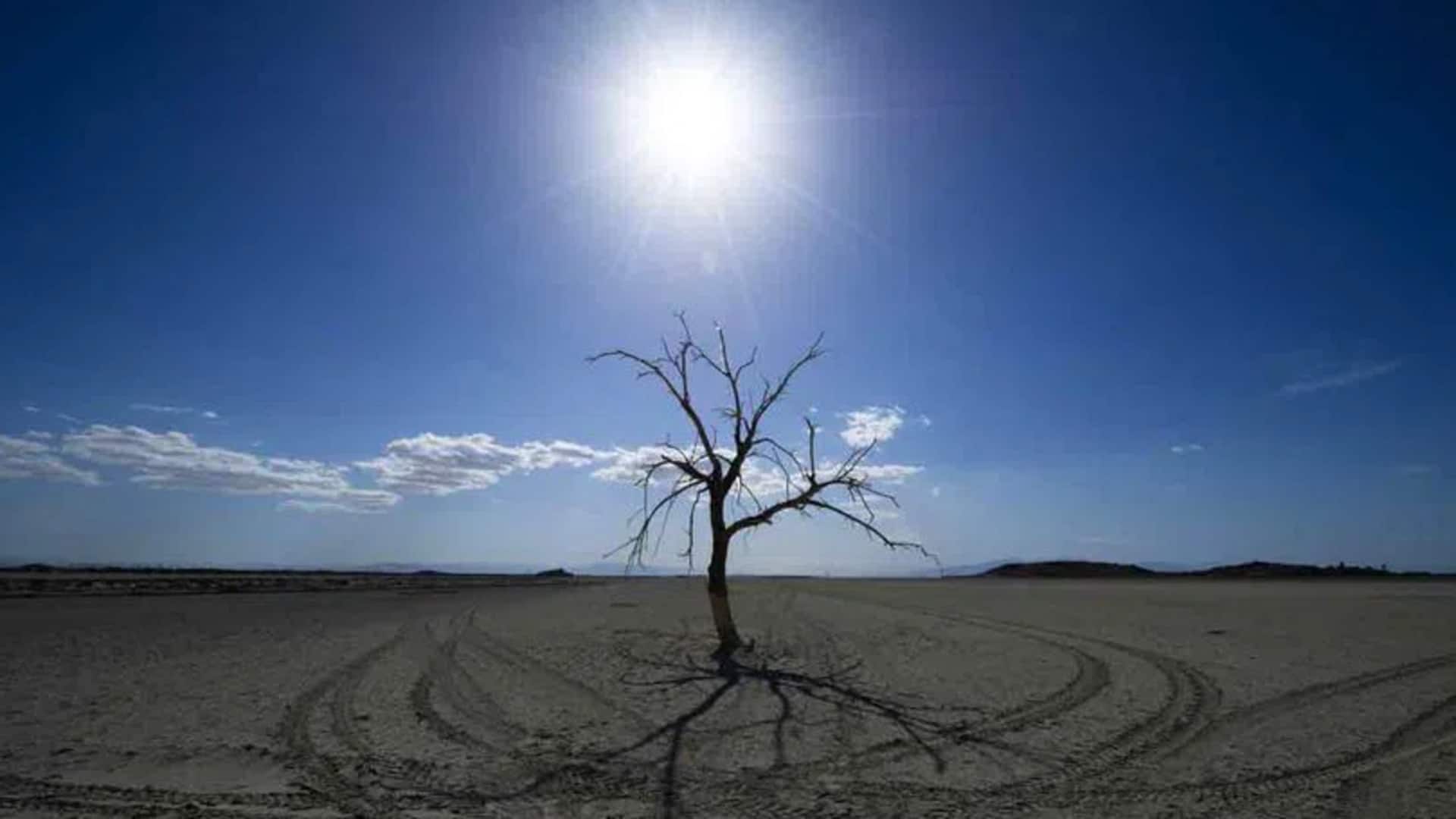 2023 is likely to be the hottest year on record