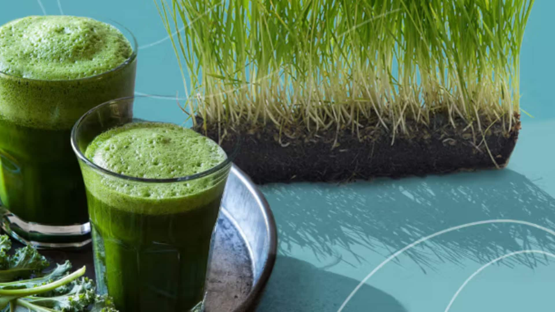 Detox, digest, and strengthen: Benefits of wheatgrass shots