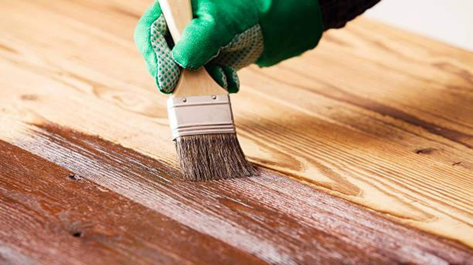 Carnauba oil: A natural solution for timeless wooden furniture 