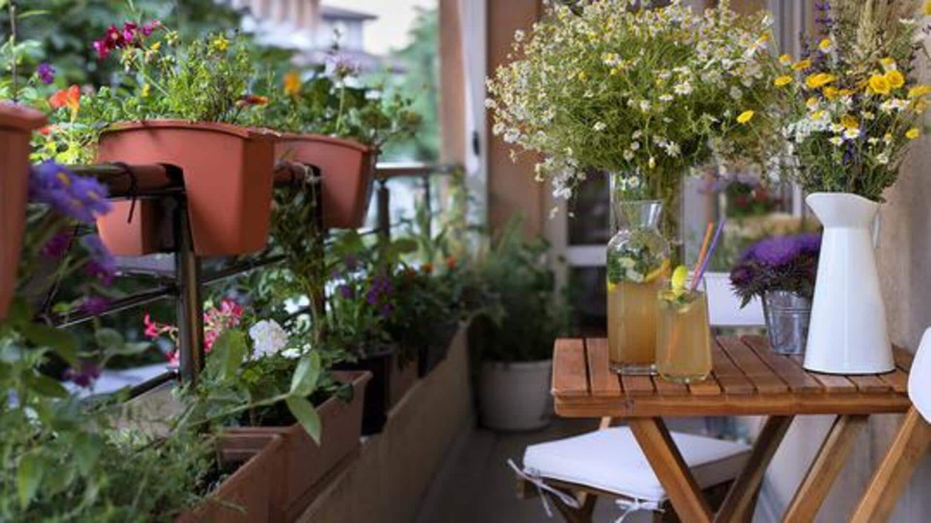 How to protect your balcony plants from winter winds