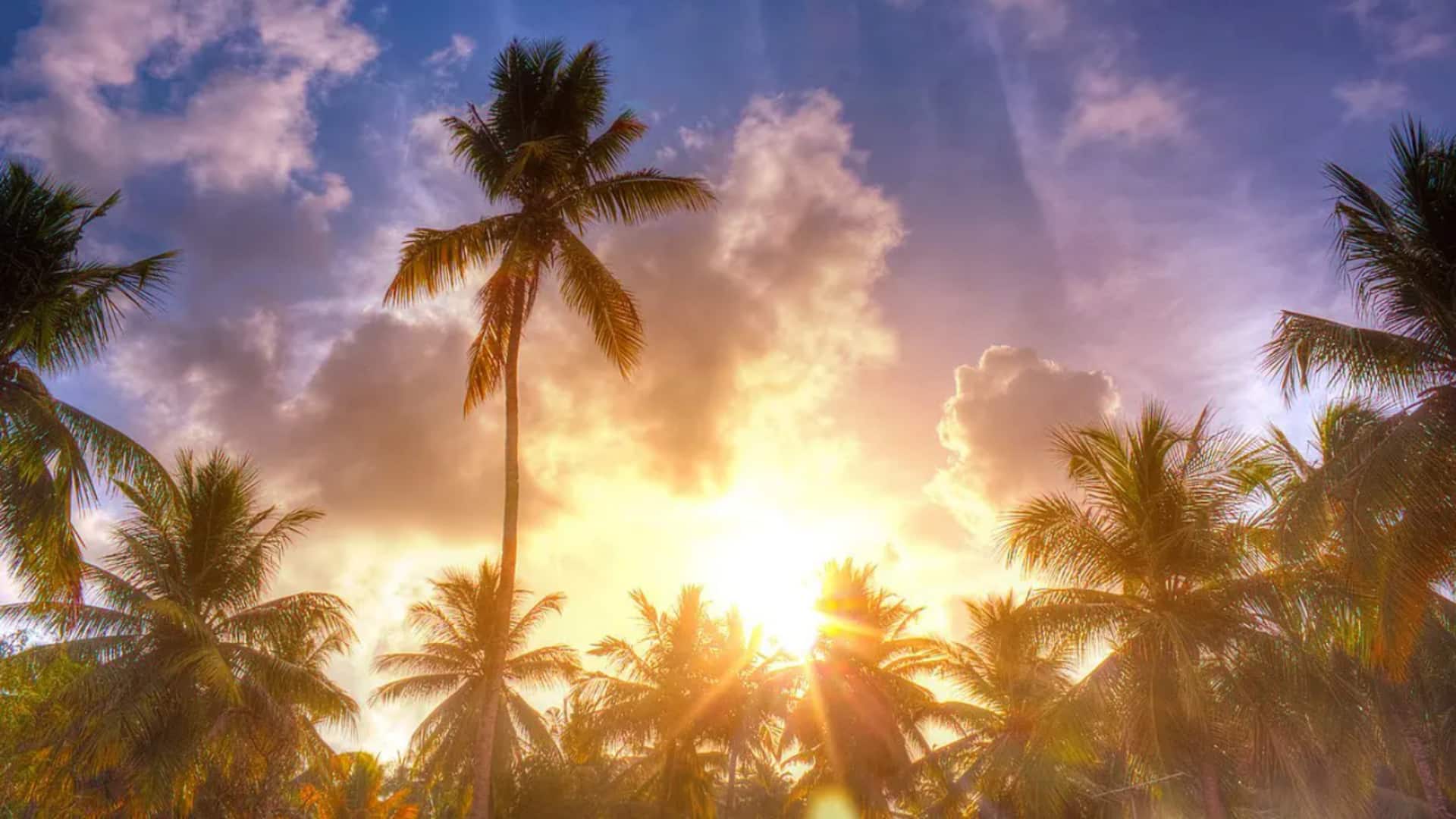 Kerala expects milder summer, but monsoon faces El Niño threat