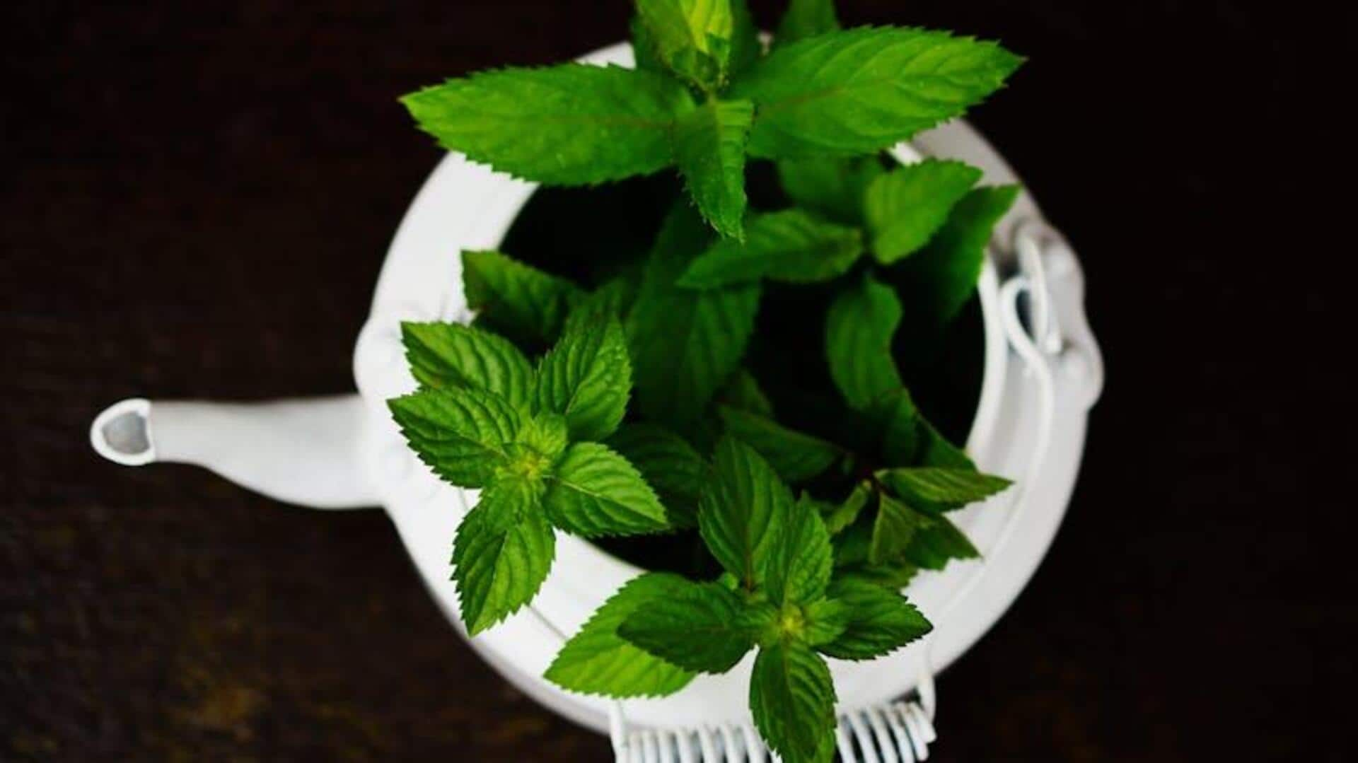 Peppermint tea: A digestive health booster