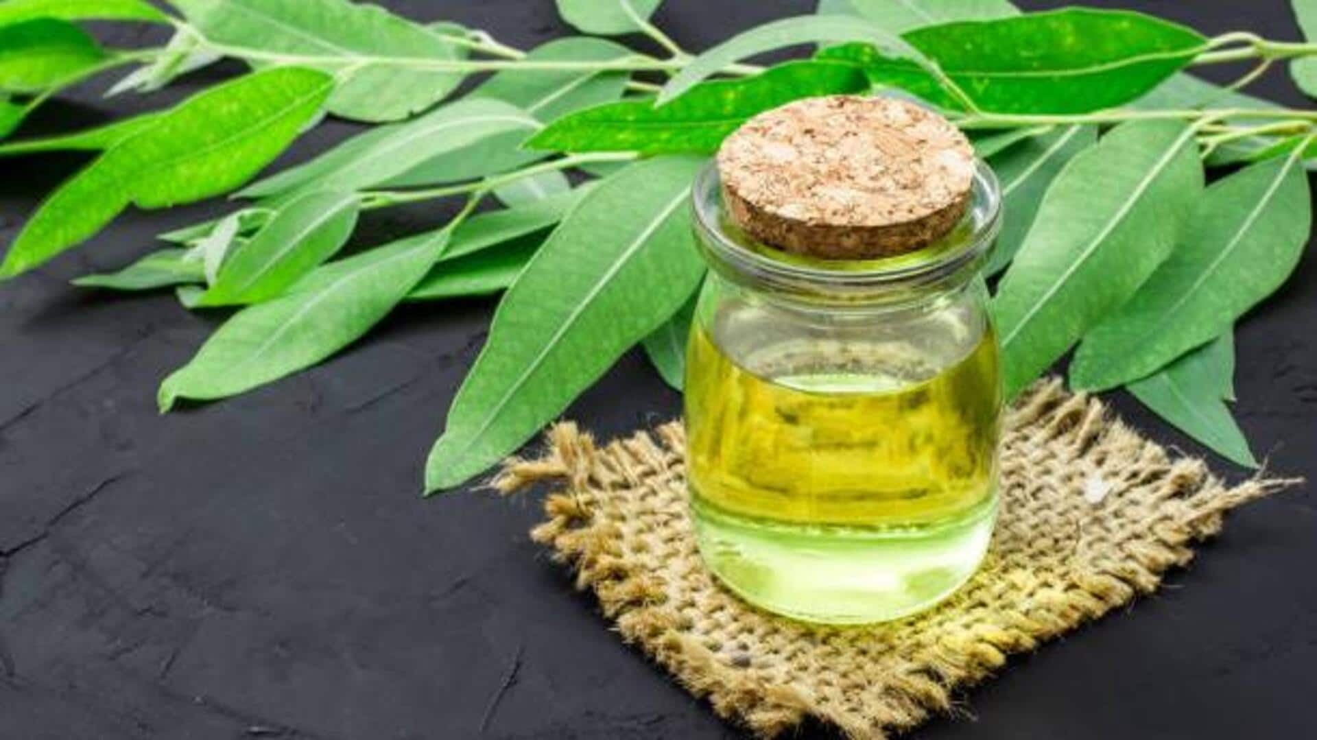 Eucalyptus oil: The secret to a fresher, cleaner home 