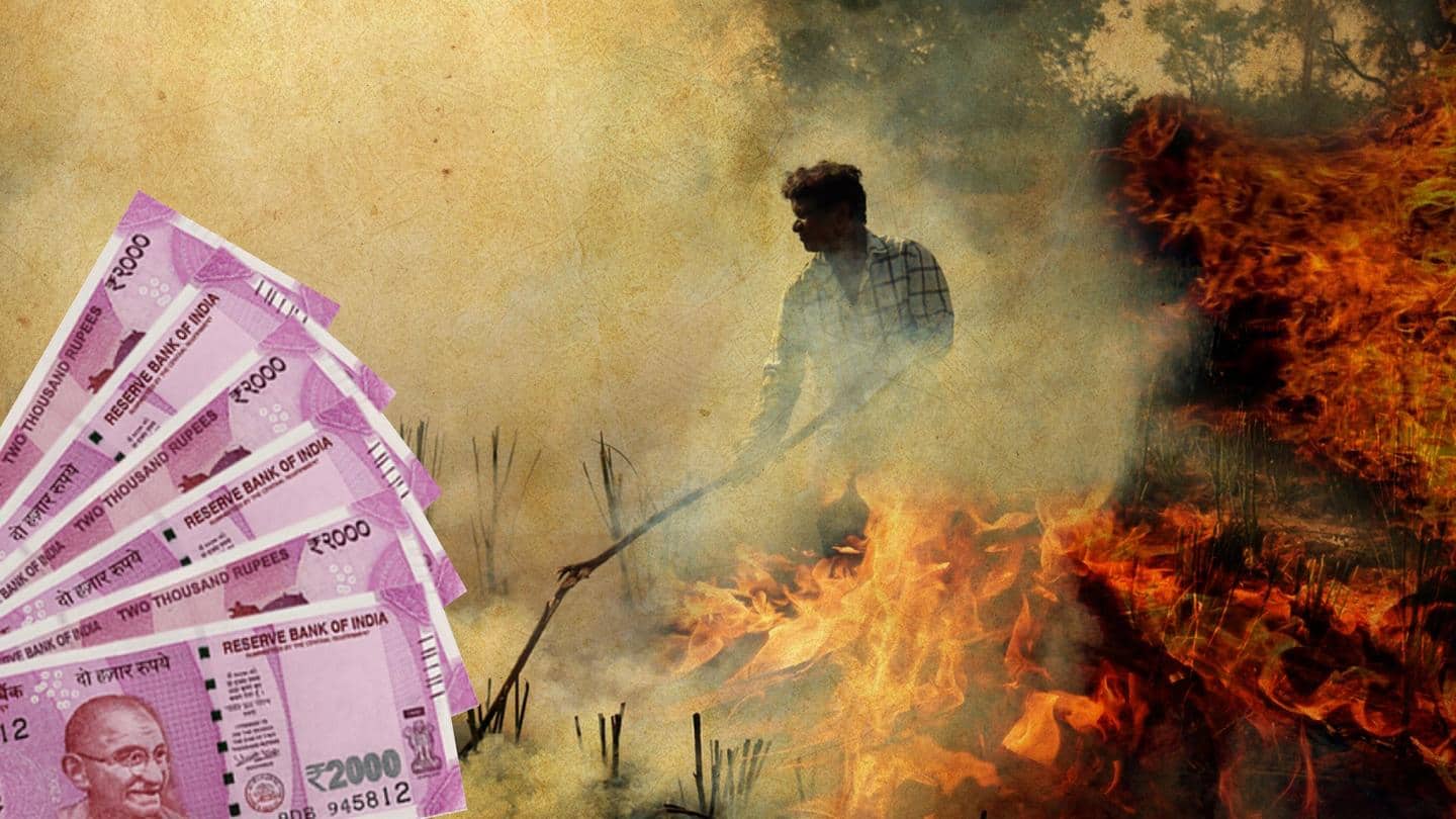 No incentive for not burning stubble in Delhi, Punjab