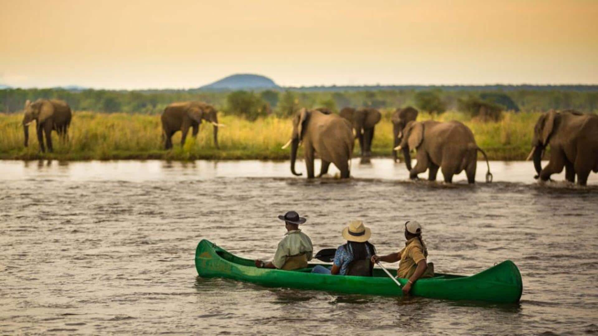 Canoeing the Zambezi River's wildlife corridors