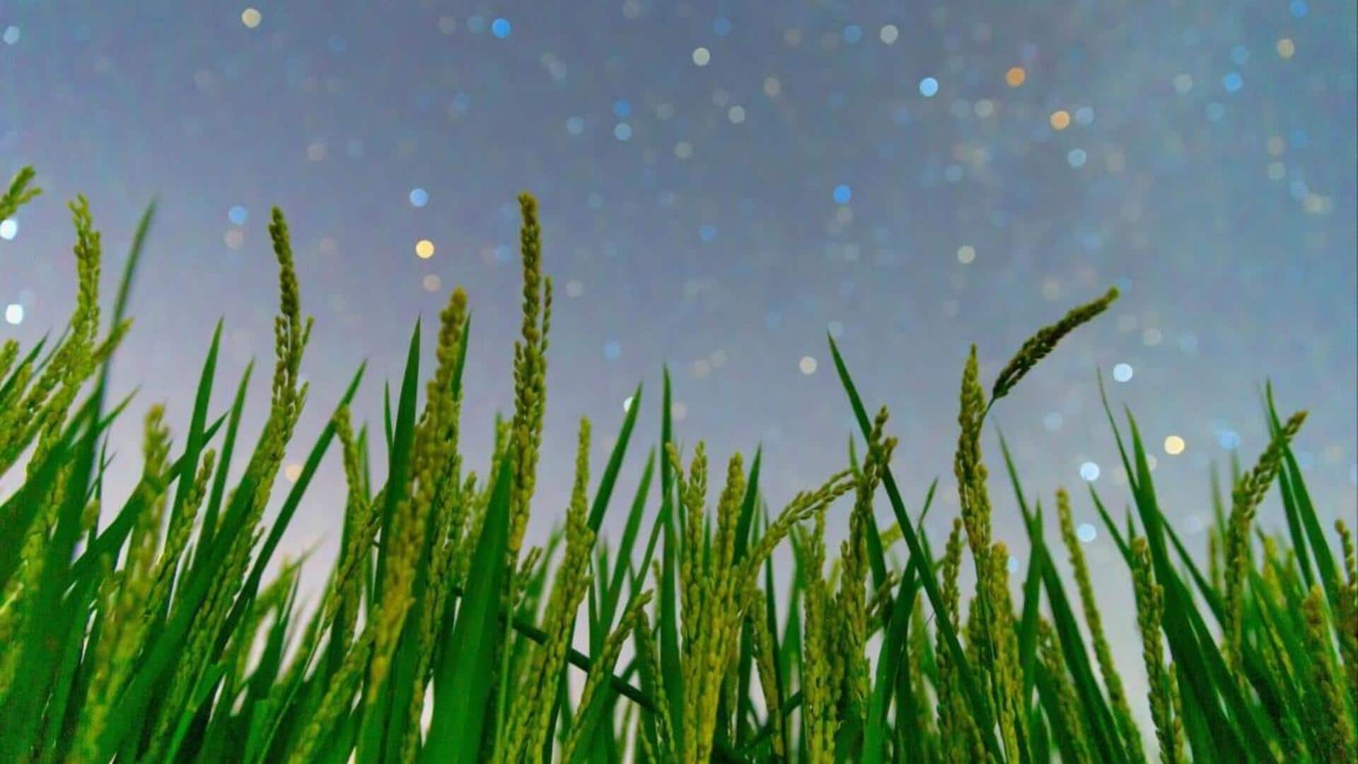 World's first custom immunity system for plants is here