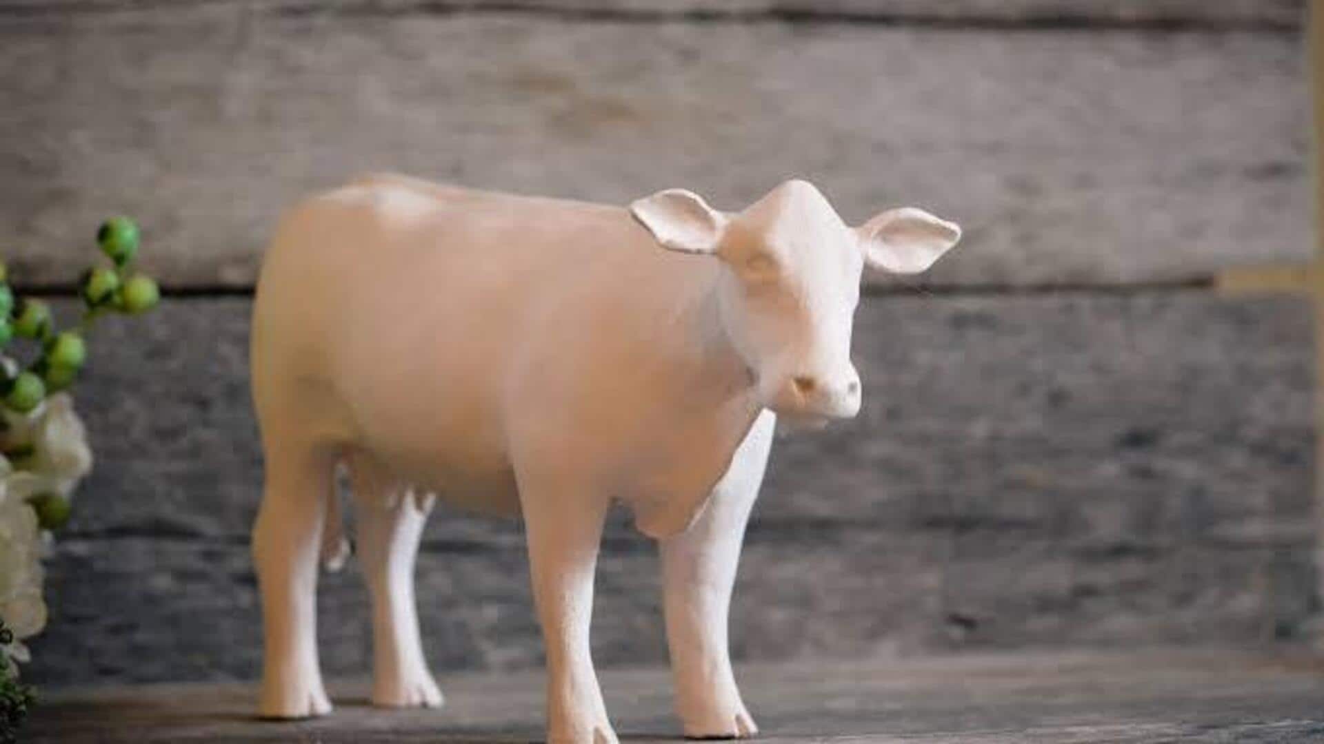 DIY: Make colorful cattle figures from clay 
