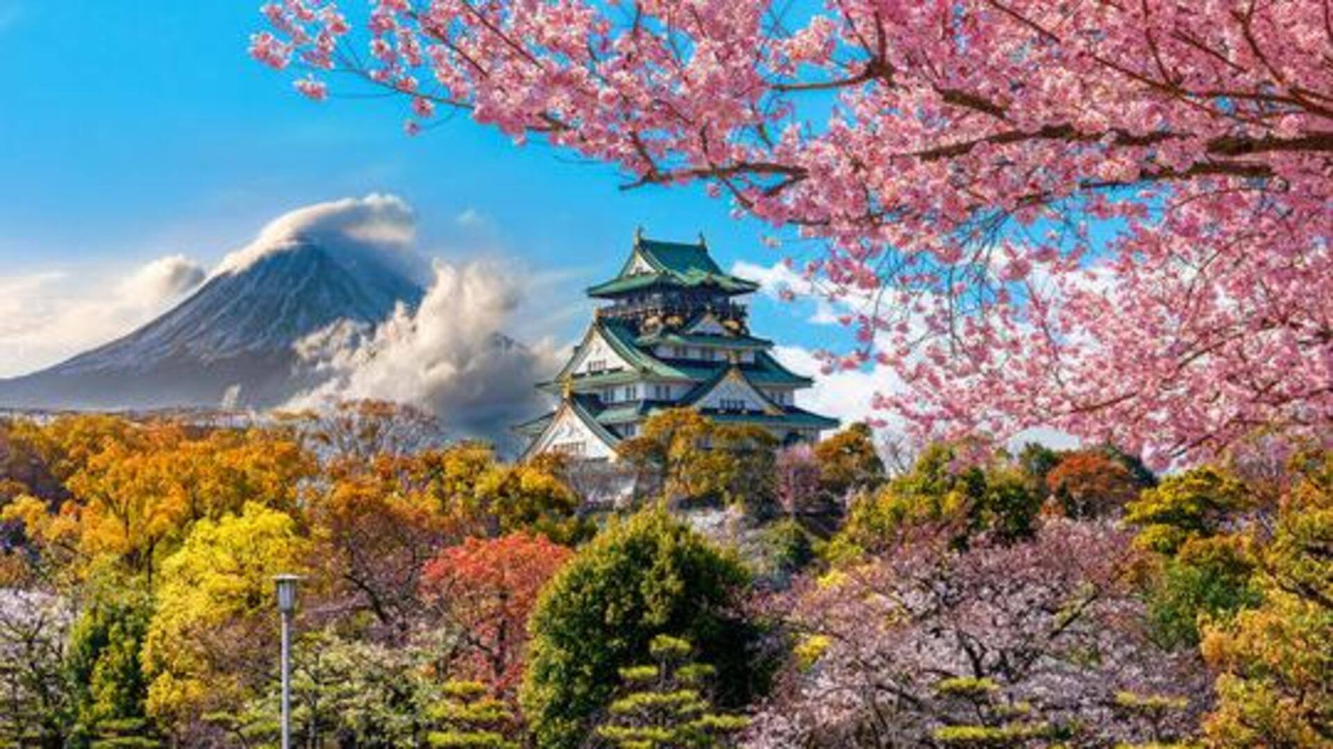 When in Tokyo, visit these peaceful nature spots 