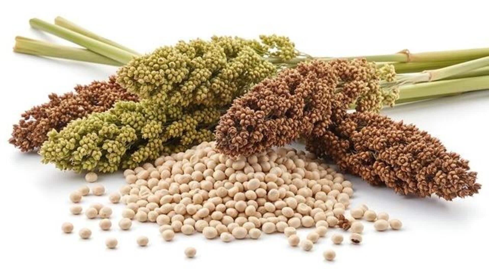 Sorghum malt: A rising wellness staple