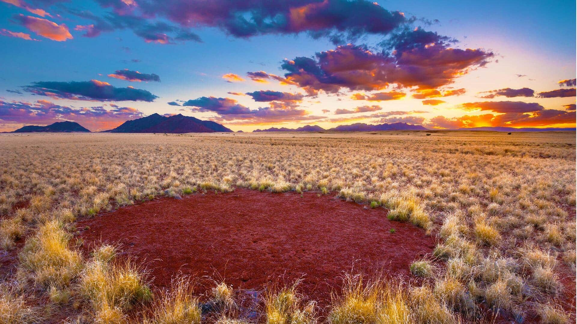 Unveiling the mystery of Namibia's fairy circles