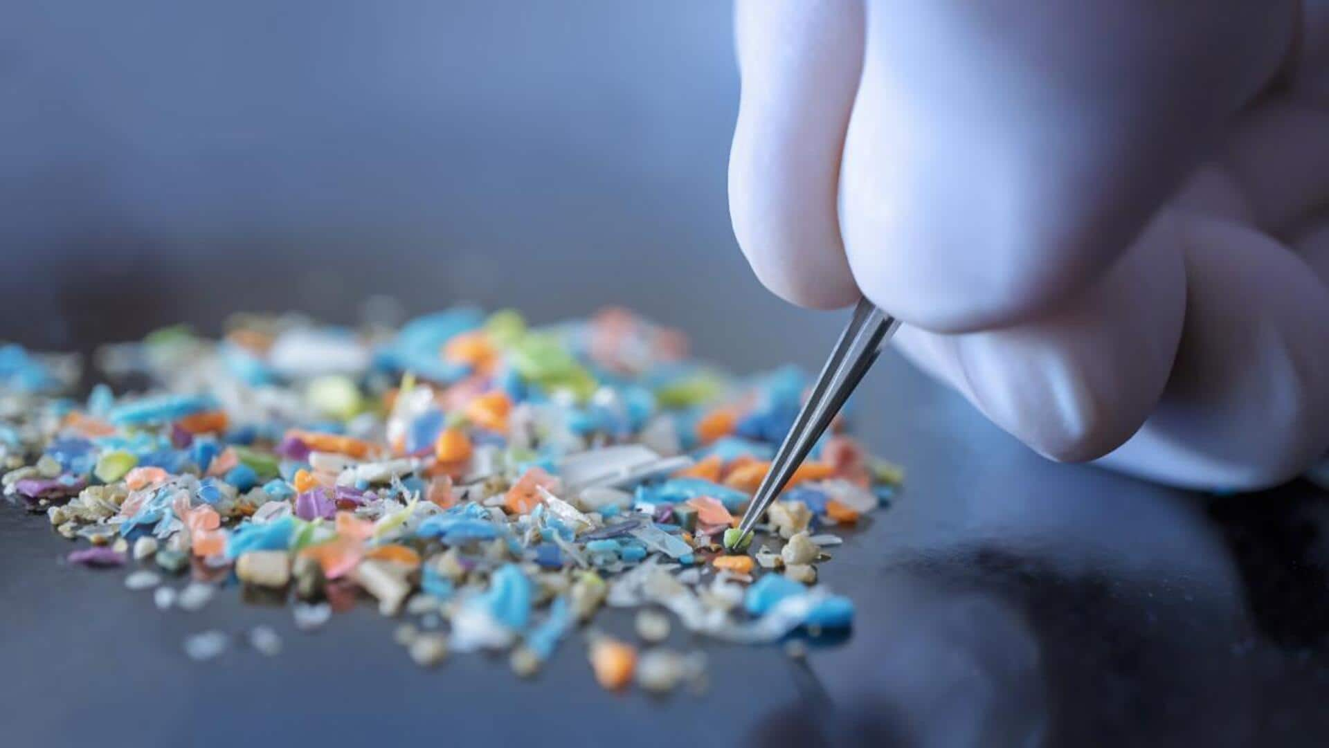 Microplastics detected in human brain tissue for the first time