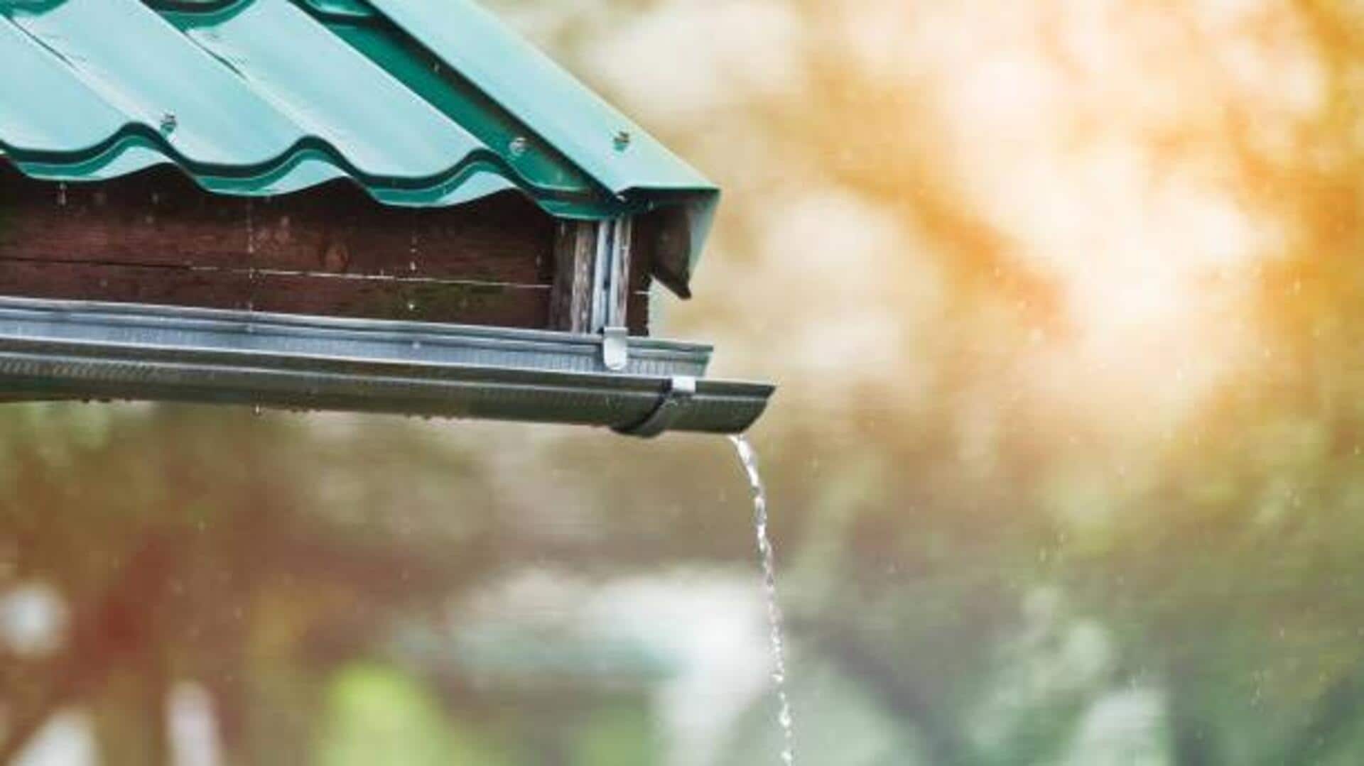 5 rainwater harvesting hacks for your garden