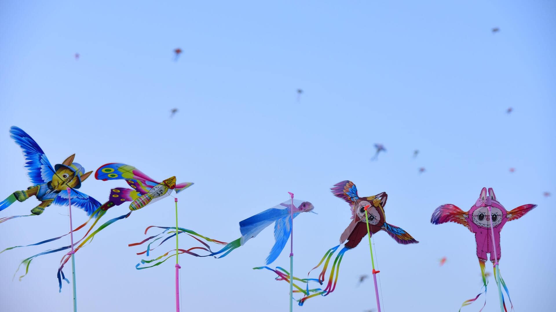 How does kite flying help you concentrate better