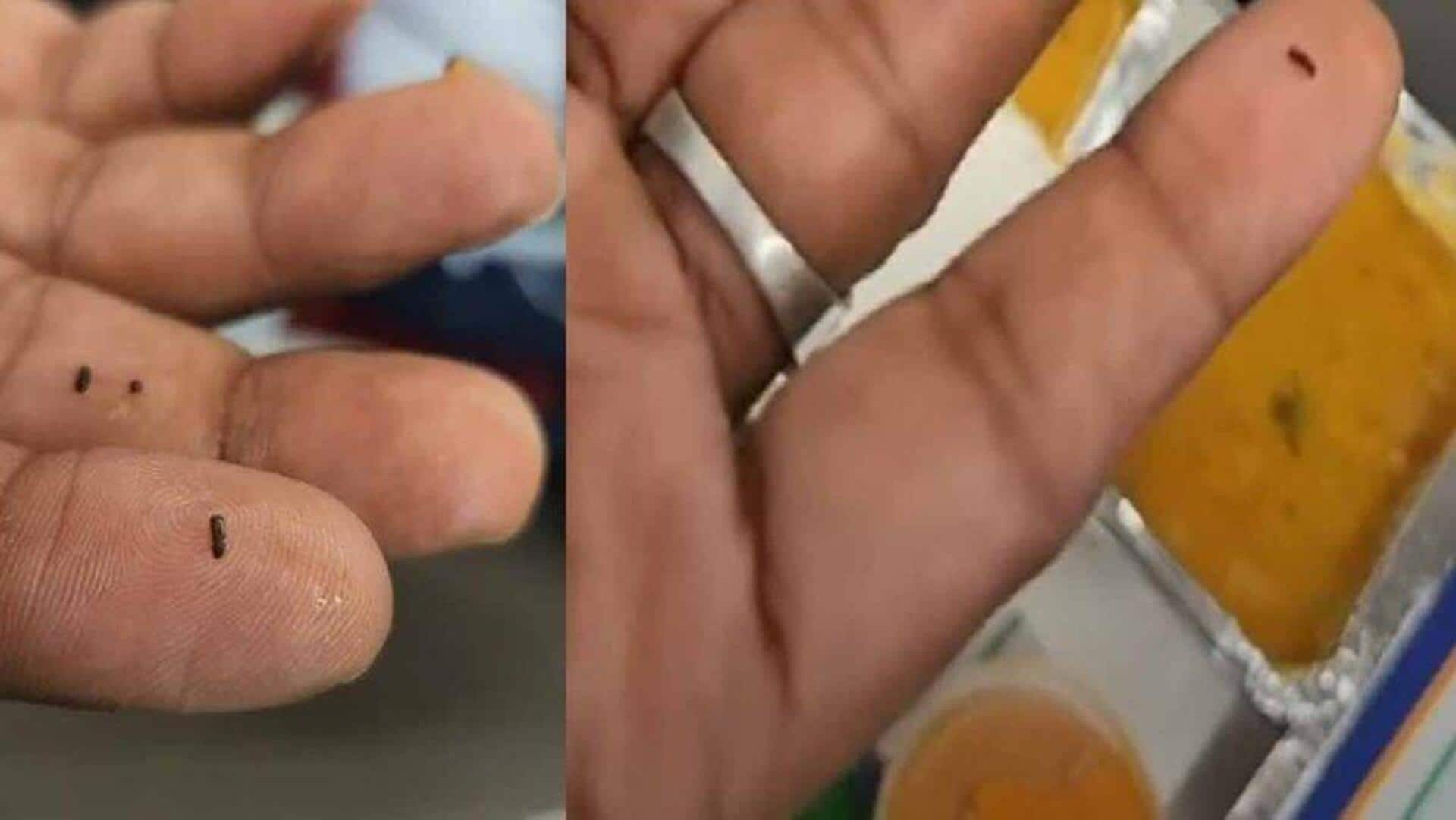 Insect found in sambar on Vande Bharat Express; Railway apologizes