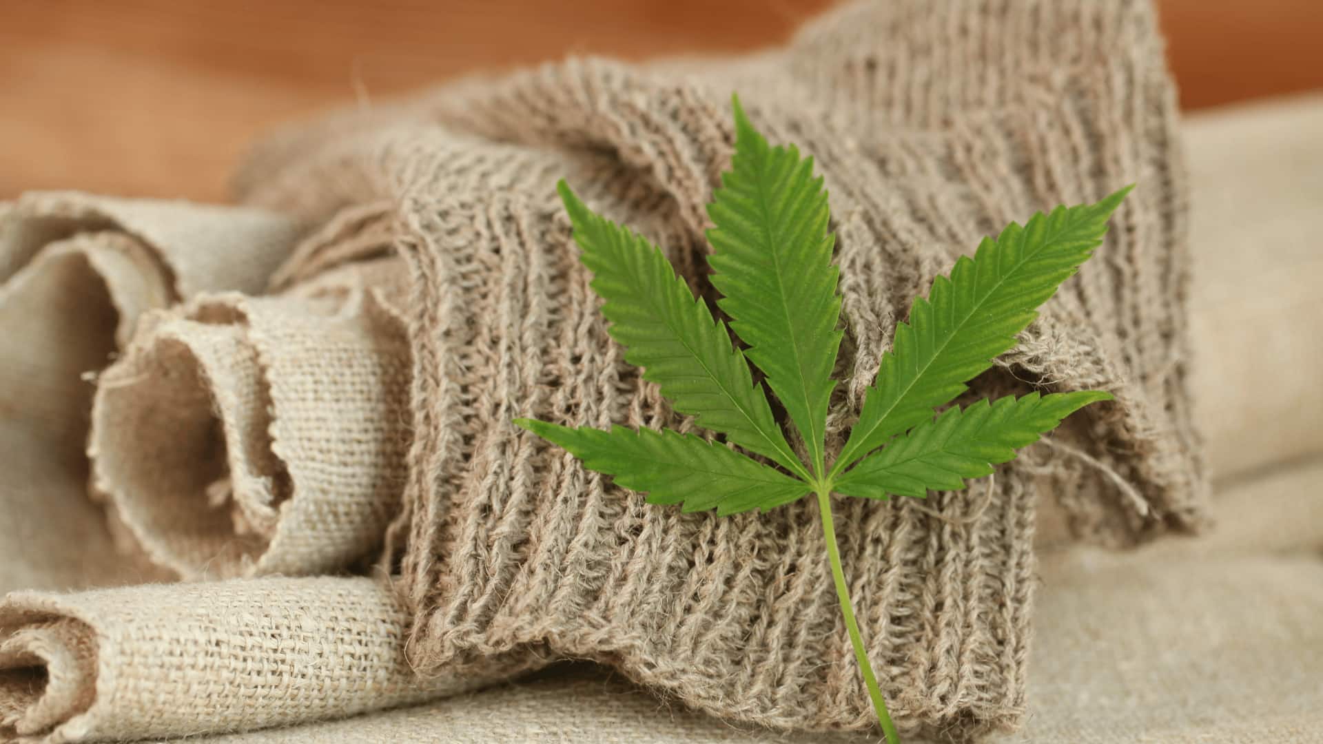 5 eco-friendly ways to use hemp